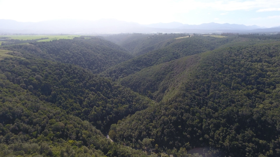 Bedroom Property for Sale in Knysna Rural Western Cape